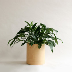 Flor Planter - Indoor Pots And Planters