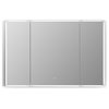 Carsoli 48" Clear Glass Surface-Mount/Recessed LED Mirror Medicine Cabinet