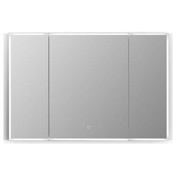 Carsoli 48" Clear Glass Surface-Mount/Recessed LED Mirror Medicine Cabinet
