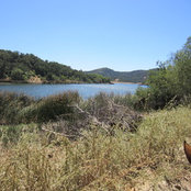 John Sclafani's photo
