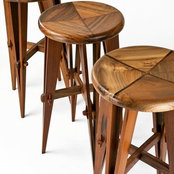 swastika meganingrums billede