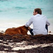 Jesse Kirkland's photo
