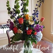 Tami McGraw's photo