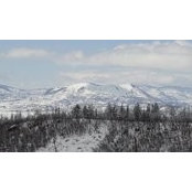 Scott Sorenson's photo