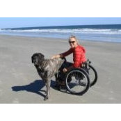 Amy Armstrong's photo