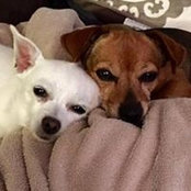 Michele Tucker Lightfield's photo