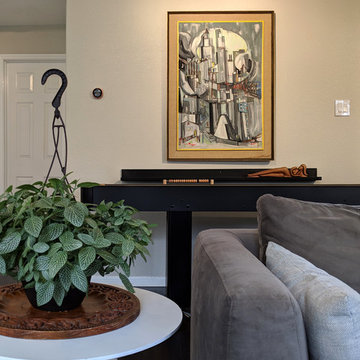 Urban House in Austin Suburbs