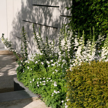 RHS Chelsea 2015 Telegraph Garden