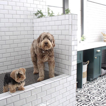 Dog Kennel Construction