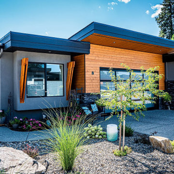 Silver Pine, Vernon