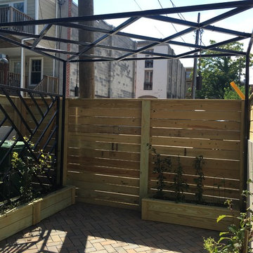 Baltimore Backyard