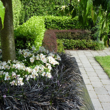 Thorndon - A Garden Apartment in the City