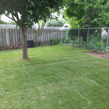 2014 Sodding After Pictures