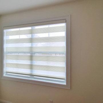 Springblinds Zebra Premium Pleated Light Filtering Shades House Project
