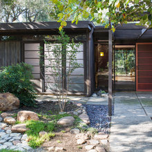 Landscape Ideas