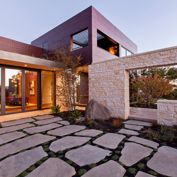Saratoga Hilltop Contemporary