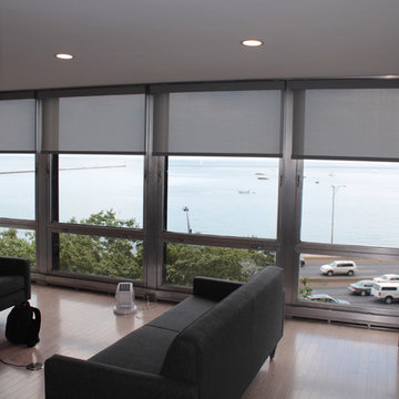 Lake Shore Drive-Gray Designer Roller and Screen Shades