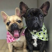 Gavin Gleason's photo