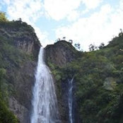 Foto de MICHAEL BROWN
