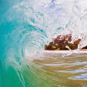 Bronwyn Warzeniak's photo