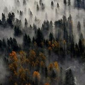 Foto von Elene Beridze