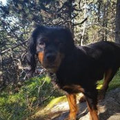 Sylvie Sicre's photo