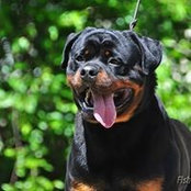 Александр Белоруцкий's photo