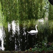 Ashley Alymann's photo