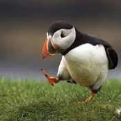 Bernie Harrison's photo