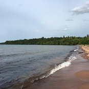 Sonya Daly's photo