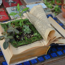Gifts or Craft