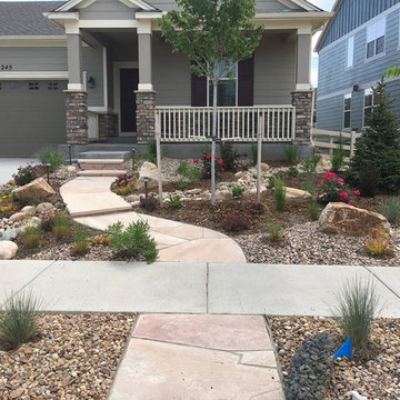 Watching a Xeriscape Grow