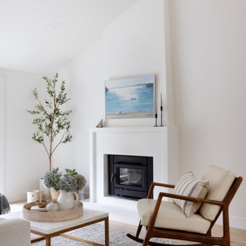 Edgemont living room and fireplace