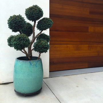CITY MODERN