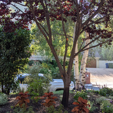 Firmly Planted After Glow!