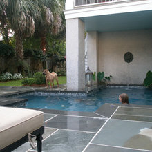 Pool & Patio