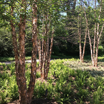 Gladwyne Residence 1