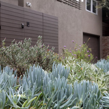 Drought Tolerant Parkway