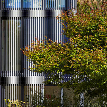 Anbau Haus GZ - Detailansicht von der Straße