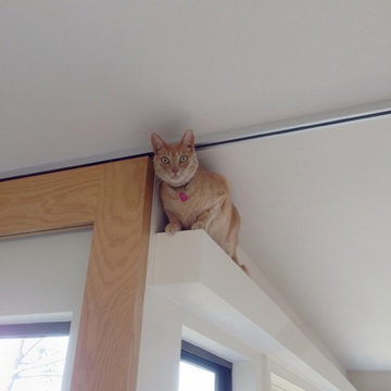 Our helper