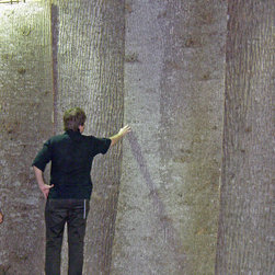 Bark House&reg; Poplar Bark Panels - Artwork