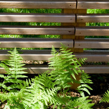 Fence