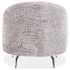 Dion Velvet Accent Chair Chair Stone/Silver