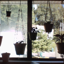Plant Hangers