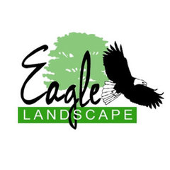 Eagle Landscape