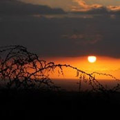 Kimberly Verrette's photo