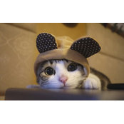 Mimi Stan's photo