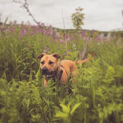 Sarah Dunnagan's photo