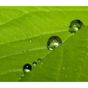 Viktor Savickis's photo