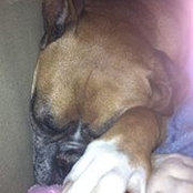 Pamela Hambrook's photo